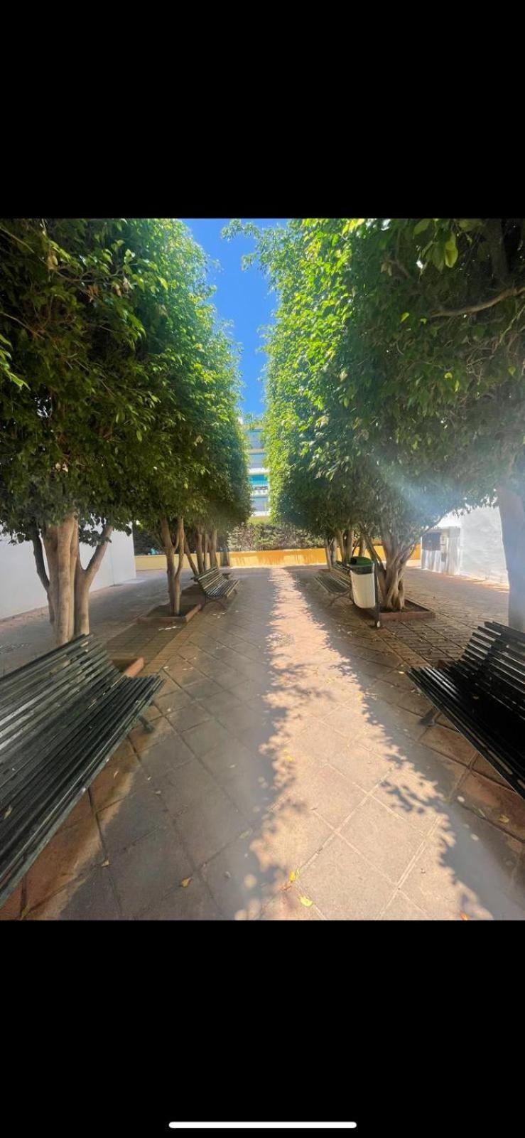 Apartamento Jardines Del Rocio Torre Del Mar Exterior foto