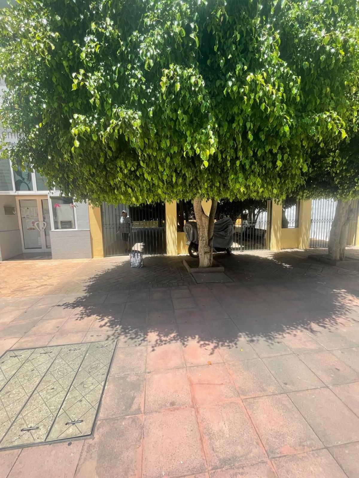 Apartamento Jardines Del Rocio Torre Del Mar Exterior foto
